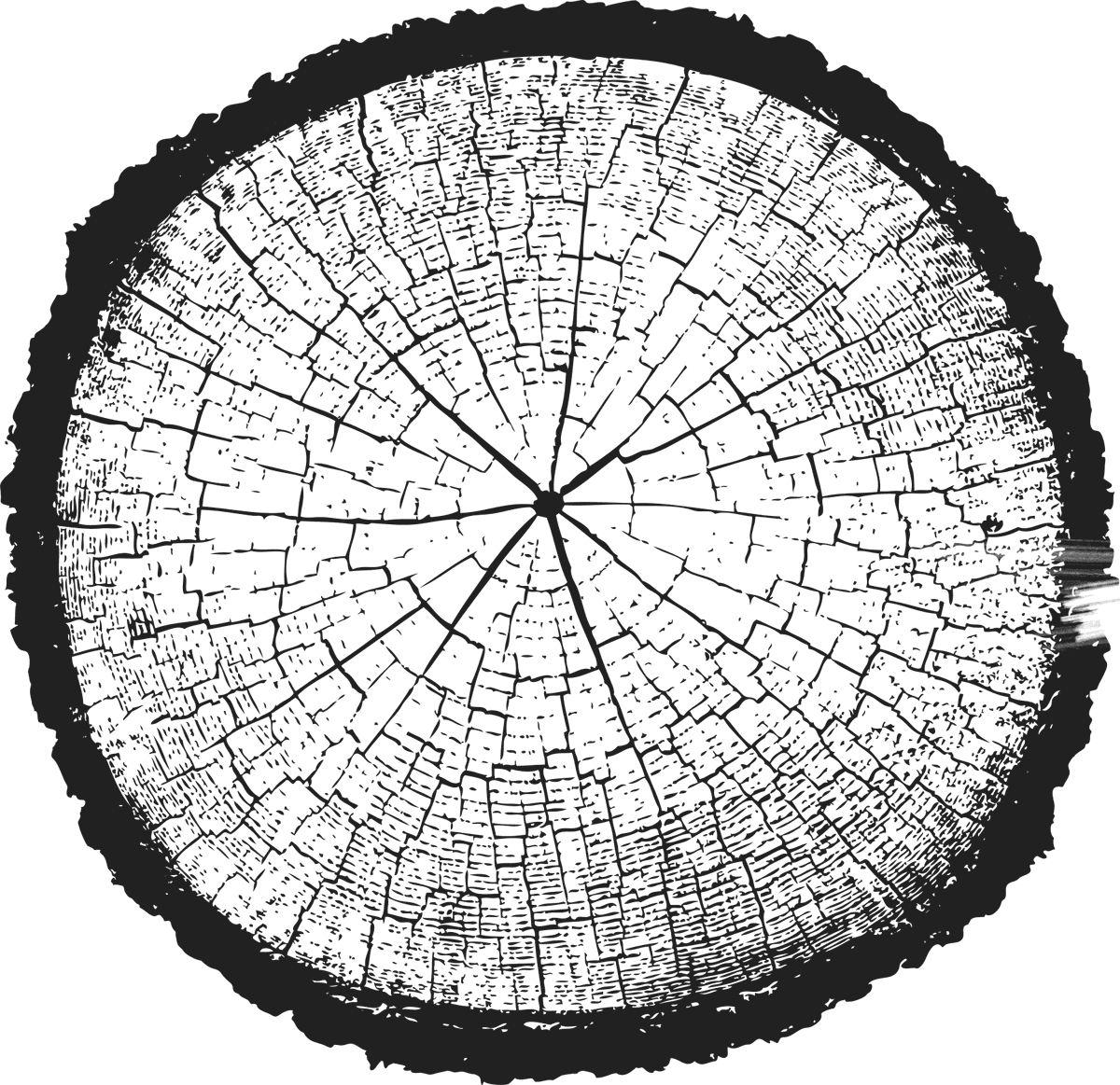 barrel illustration